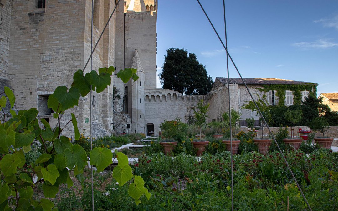JARDINS BENOIT XII