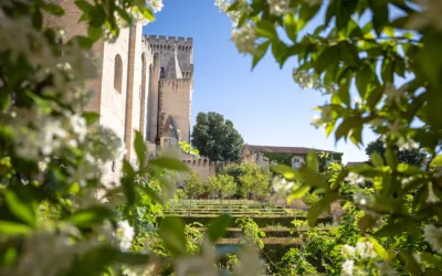 JARDINS BENOIT XII